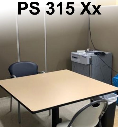 PS 315 Xx